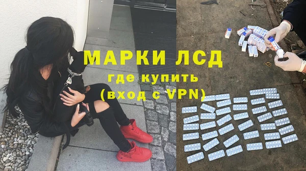 ГАЛЛЮЦИНОГЕННЫЕ ГРИБЫ Вязники