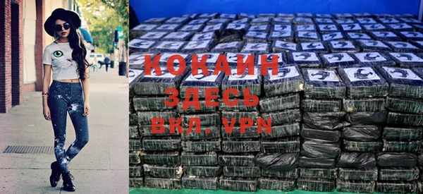 прущие крисы Горняк
