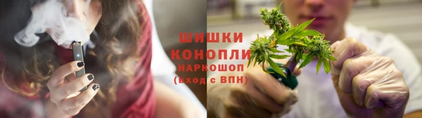прущие крисы Горняк