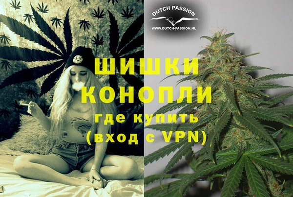 соль ск Вяземский