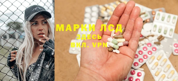 прущие крисы Горняк