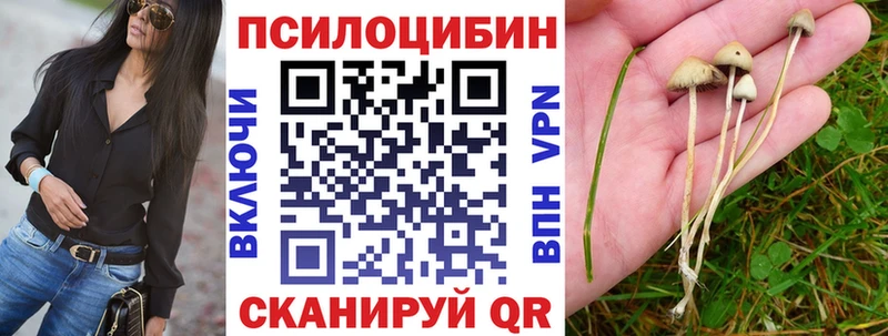 Галлюциногенные грибы GOLDEN TEACHER  Купить где  Тайга 
